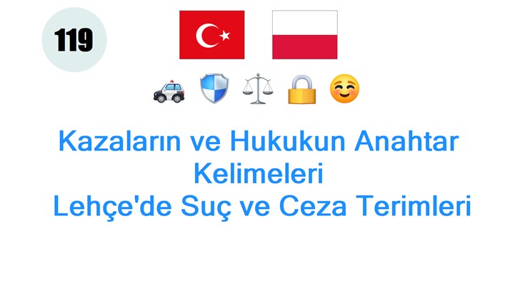 Kazaların ve Hukukun Anahtar Kelimeleri: Lehçede Suç ve Ceza Terimleri